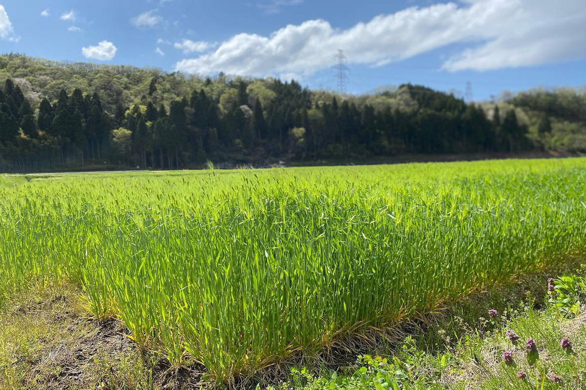 石川県の地域政策