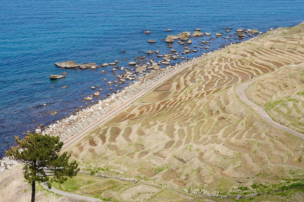 防災･能登半島復興